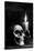 Skull Candle Black & White-null-Stretched Canvas