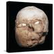 Skull from Jericho, modelled with plaster and shells-Unknown-Premier Image Canvas