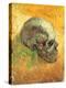 Skull in Profile, 1887-Vincent van Gogh-Premier Image Canvas