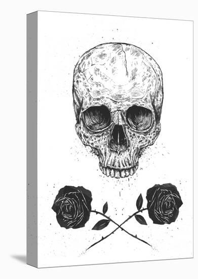 Skull N Roses-Balazs Solti-Stretched Canvas