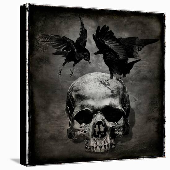 Skull with Crows-Martin Wagner-Stretched Canvas