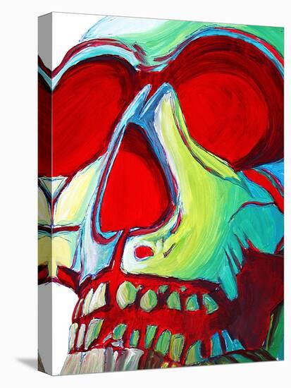 Skull-Megan Aroon Duncanson-Stretched Canvas