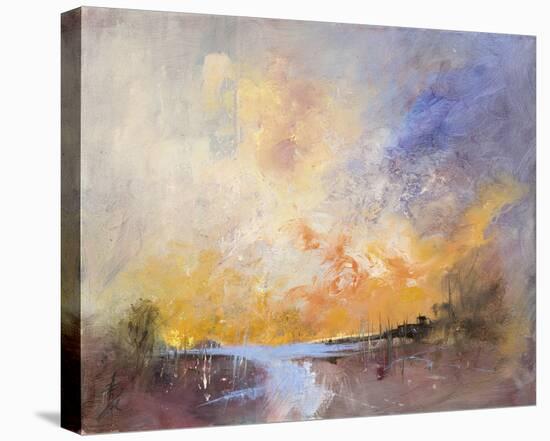 Sky Ablaze-Anne Farrall Doyle-Stretched Canvas