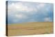 Sky and sand dunes, Indiana Dunes, Indiana, USA-Anna Miller-Premier Image Canvas