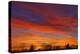 Sky at sunset, Winnipeg, Manitoba, Canada.-Mike Grandmaison-Premier Image Canvas