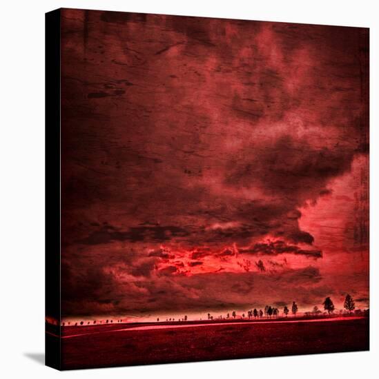 Sky Is Crying-Philippe Sainte-Laudy-Premier Image Canvas