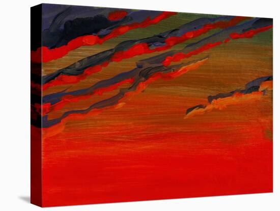 Sky Portrait of a Sunset-John Newcomb-Premier Image Canvas