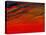 Sky Portrait of a Sunset-John Newcomb-Premier Image Canvas