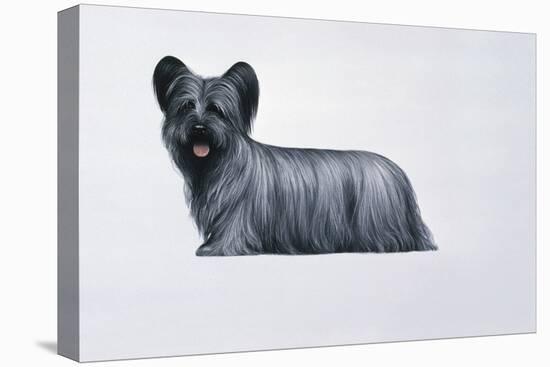 Sky Terrier-Harro Maass-Premier Image Canvas