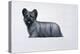 Sky Terrier-Harro Maass-Premier Image Canvas