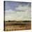 Sky View I-Tim O'toole-Premier Image Canvas