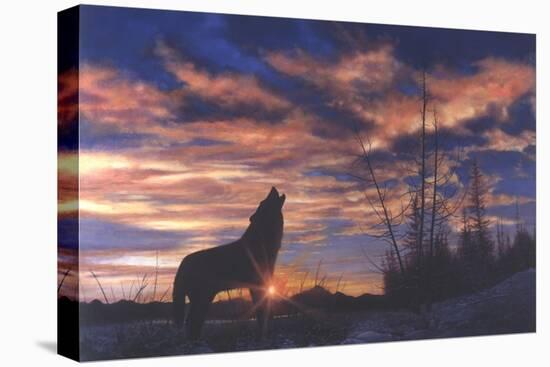 Sky Wolf-Bill Makinson-Premier Image Canvas