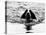 Skye the St. Bernard Dog Swimming-null-Premier Image Canvas