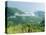 Skyline Drive, Shenandoah National Park, Virginia, USA-Ethel Davies-Premier Image Canvas