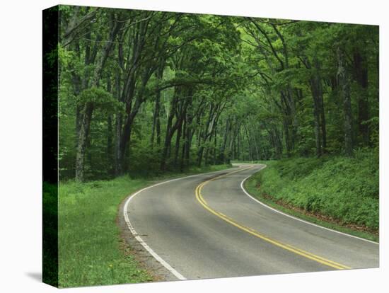 Skyline Drive, Shenandoah National Park, Virginia, USA-Charles Gurche-Premier Image Canvas