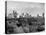 Skyline View of Houston-null-Premier Image Canvas
