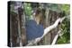 Slate Heart, Marked, Happy Home, Old Fence-Andrea Haase-Premier Image Canvas