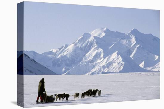 Sled Dogs, Park Ranger, Mount McKinley, Denali National Park, Alaska, USA-Gerry Reynolds-Premier Image Canvas
