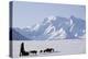 Sled Dogs, Park Ranger, Mount McKinley, Denali National Park, Alaska, USA-Gerry Reynolds-Premier Image Canvas