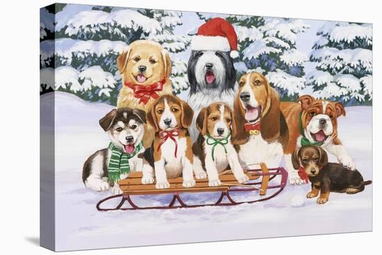 Sled Dogs-William Vanderdasson-Premier Image Canvas