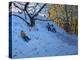 Sledging Allestree Golf Course (3rd Hole) 2014-Andrew Macara-Premier Image Canvas