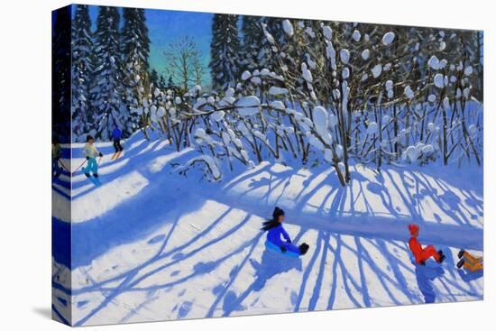 Sledging and Skiing Down the Trail, Morzine-Andrew Macara-Premier Image Canvas