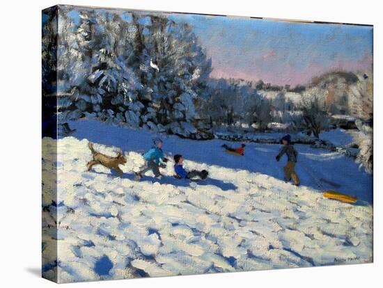 Sledging Near Youlgreave, Derbyshire-Andrew Macara-Premier Image Canvas