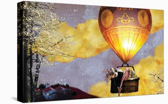 Sleep Balloon-Nancy Tillman-Stretched Canvas