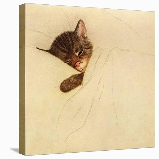 Sleep Like a Kitten-Guido Gruenwald-Premier Image Canvas