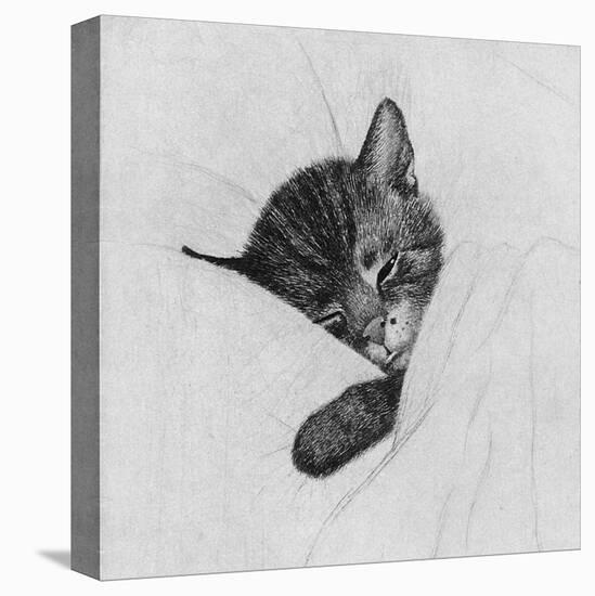 Sleep Like a Kitten-Guido Gruenwald-Premier Image Canvas