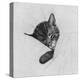 Sleep Like a Kitten-Guido Gruenwald-Premier Image Canvas