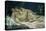 Sleep-Gustave Courbet-Premier Image Canvas