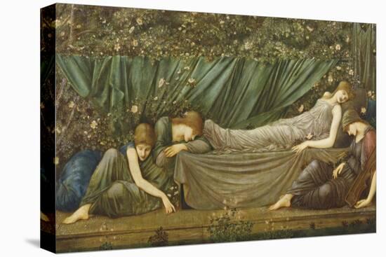 Sleeping Beauty, Illustration from 'The Legend of the Briar Rose', 1871-72-Edward Burne-Jones-Premier Image Canvas