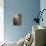 Sleeping Beauty-Judy Mastrangelo-Premier Image Canvas displayed on a wall