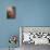 Sleeping Beauty-Judy Mastrangelo-Premier Image Canvas displayed on a wall