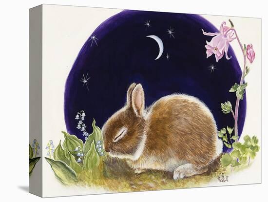 Sleeping Bunny-Judy Mastrangelo-Premier Image Canvas