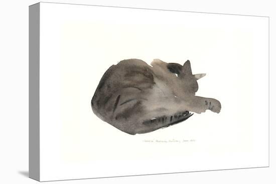 Sleeping cat, 1985-Claudia Hutchins-Puechavy-Premier Image Canvas