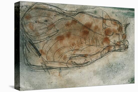 Sleeping Cat-Paul Klee-Premier Image Canvas