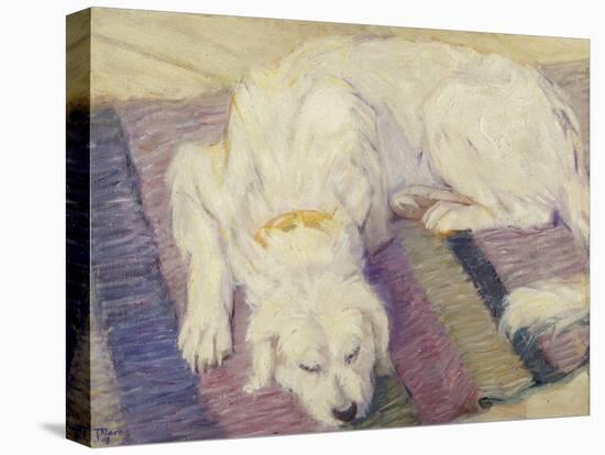 Sleeping Dog, 1909-Franz Marc-Premier Image Canvas