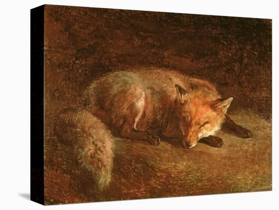 Sleeping Fox-Jafunda and Abraham Cresques-Premier Image Canvas