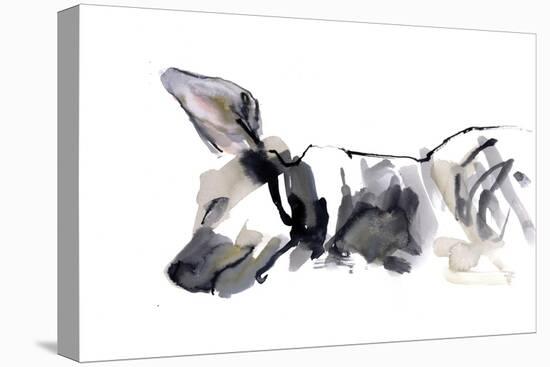 Sleeping Hyaena, 2010-Mark Adlington-Premier Image Canvas