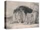 Sleeping Lion and Lioness-F. Lewis-Premier Image Canvas