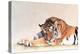 Sleeping Tiger-Jan Henderson-Stretched Canvas