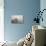 Sleeping Weddell Seal-DLILLC-Premier Image Canvas displayed on a wall
