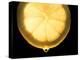 Slice of Lemon-Victor De Schwanberg-Premier Image Canvas