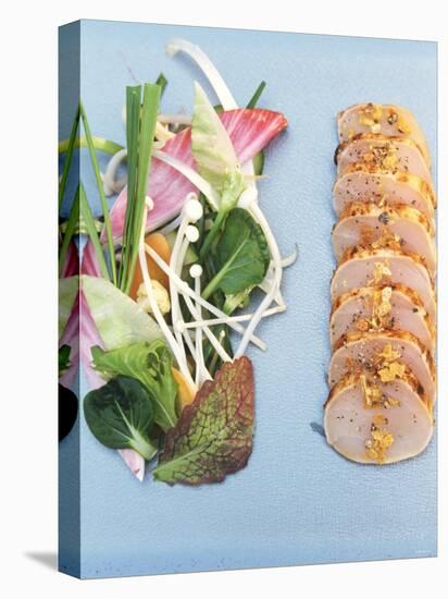 Sliced Swordfish Fillet and Salad Garnish-Joerg Lehmann-Premier Image Canvas