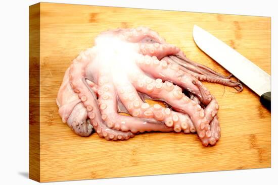 Slicing Raw Octopus for A Gourmet Dinner-Bill C-Premier Image Canvas