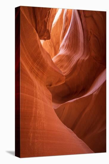 Slickrock formations in lower Antelope Canyon, Navajo Indian Reservation, Arizona, USA.-Russ Bishop-Premier Image Canvas