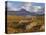 Slioch and Loch Maree, Wester Ross, North West Scotland, United Kingdom, Europe-Neale Clarke-Premier Image Canvas