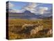 Slioch and Loch Maree, Wester Ross, North West Scotland, United Kingdom, Europe-Neale Clarke-Premier Image Canvas